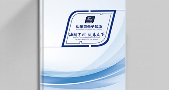 菜央子盐场画册