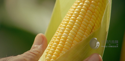 聊城乡村实用人才培训学院宣传片